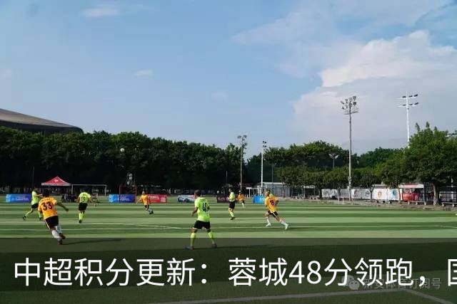 中超积分更新：蓉城48分领跑，国安升至第二