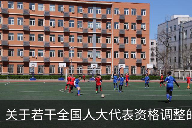 关于若干全国人大代表资格调整的通告