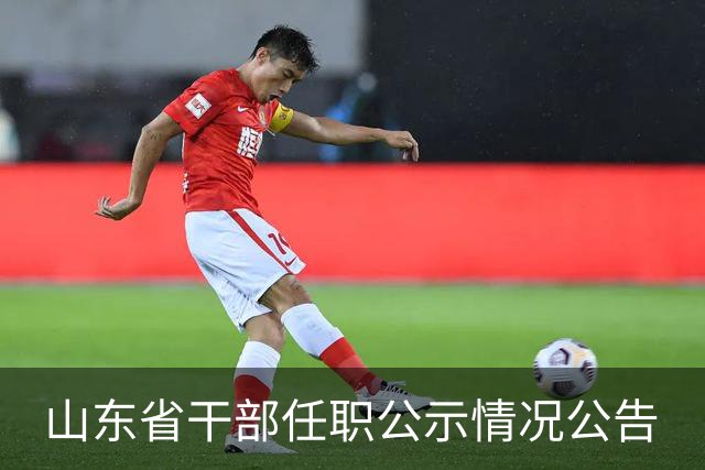 山东省干部任职公示情况公告