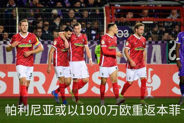 帕利尼亚或以1900万欧重返本菲卡