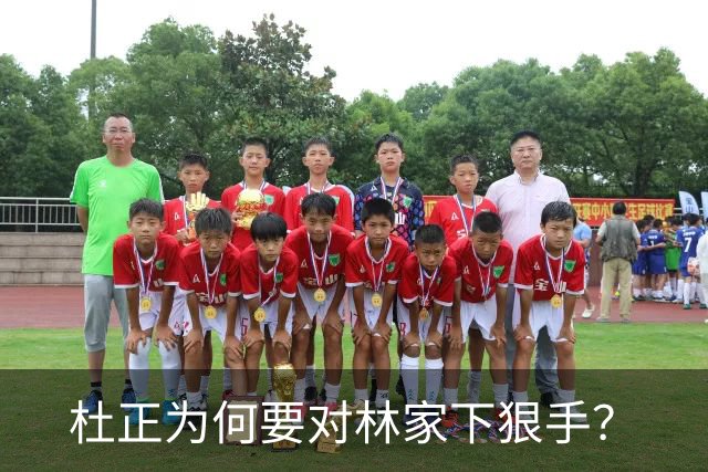 杜正为何要对林家下狠手？
