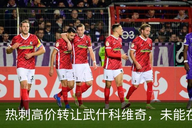 热刺高价转让武什科维奇，未能在一线队登场