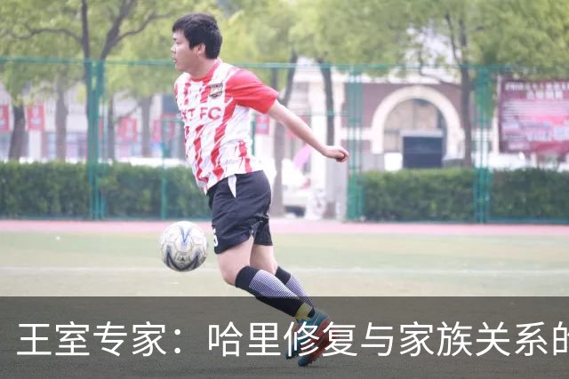 王室专家：哈里修复与家族关系的关键在于沟通