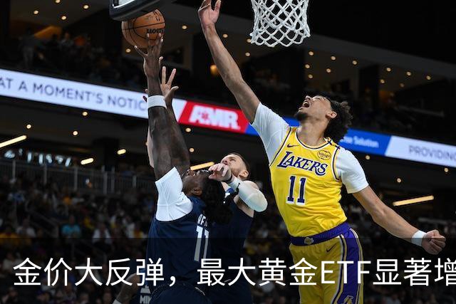 金价大反弹，最大黄金ETF显著增持