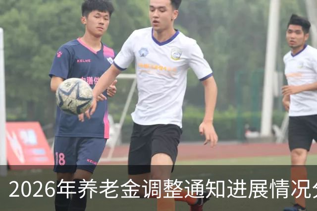 2026年养老金调整通知进展情况分析