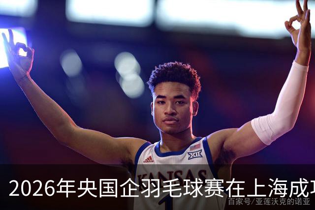 2026年央国企羽毛球赛在上海成功举办