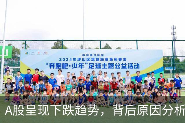 A股呈现下跌趋势，背后原因分析